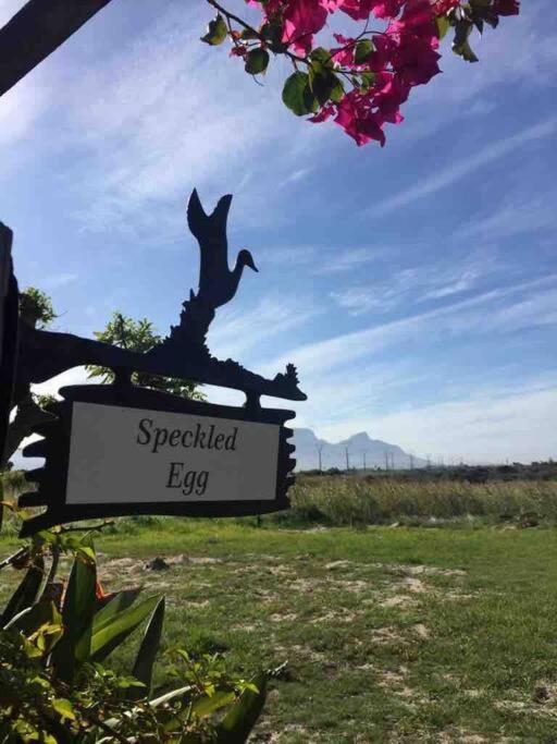 The Speckled Egg, 4 Promenade Rd, Lakeside, ケープタウン エクステリア 写真